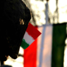 Gyerekek munkái - Március 15