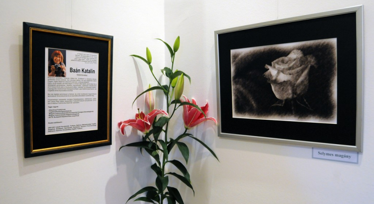 ,,Tudom e mérni a mérhetetlent’’