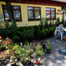 25. Dél-Pest Megyei Anyák Napi Virágvásár és Anyám Tyúkja Főzőfesztivál