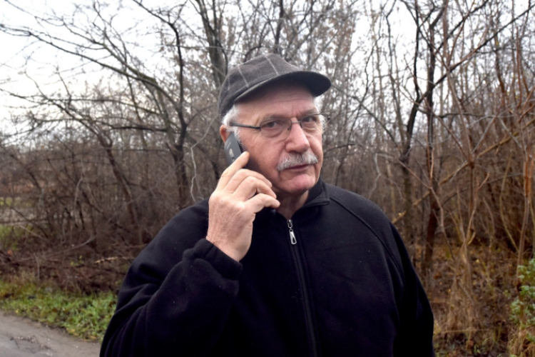 Megérkezett a város karácsonyfája