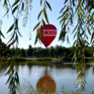 Több száz résztvevő a Városi Sportnapon