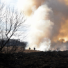 Száraz növényzet égett