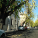 Halló Cegléd - Rákóczi út