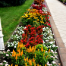 Kovács Zoltánra emlékeztek Csemőben