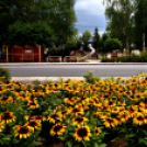 Kovács Zoltánra emlékeztek Csemőben