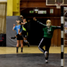 Ceglédi  Kék Cápák – Euronovex  USE