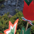 Gyerekek munkái - Március 15