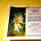 Ádori Orsolya fotókiállítása a Ceglédi Kossuth Lajos Gimnáziumban