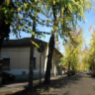 Halló Cegléd - Rákóczi út