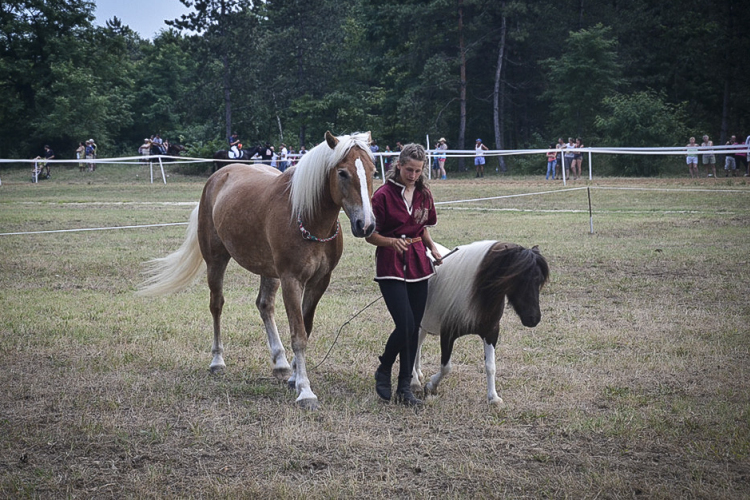 A lovak nyelvén – Hamza Viktória