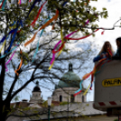 A város májusfája