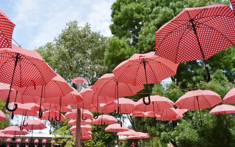 Közútkezelői tájékoztatás - ”Pöttyös Gyermeknap”