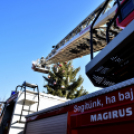 Feldíszítették a város karácsonyfáját