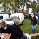 Anyámtyúkja - Csemő