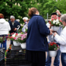 Anyák napi virágvásár és Anyám tyúkja főzőverseny