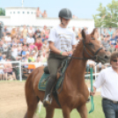 IX. Bor és Laskafesztivál - IV. Ceglédi Vágta