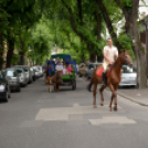 Lovasfelvonulás a belvárosban