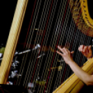 Múzeumok éjszakája 