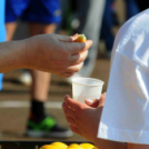 II. Romhányi Zoltán emlékfutás