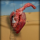 ARTpoétika - Sallai Jutka fotói