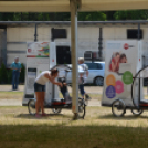 Bor és laskafesztivál - I