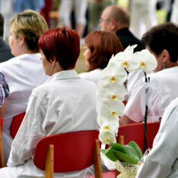 Semmelweis nap Cegléden