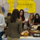 Pályaválasztási kiállítás