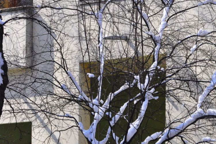 Az ismeretlen Cegléd