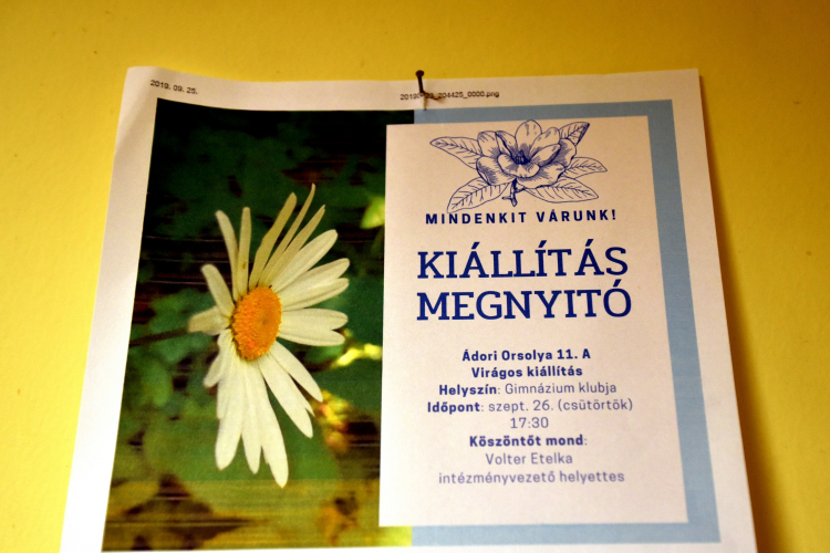 Ádori Orsolya fotókiállítása a Ceglédi Kossuth Lajos Gimnáziumban