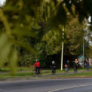 Tekerd be Ceglédet!