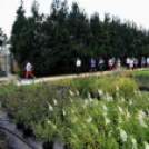 Csemőben is járt a nemzetközi zsűri