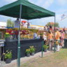 Bor és laskafesztivál - II