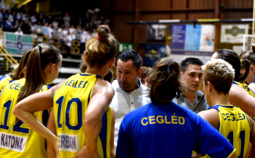 Megállították az Elefántkölyköket 