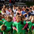 ,,Megyénk körül - megyünk körül''