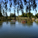 Több száz résztvevő a Városi Sportnapon