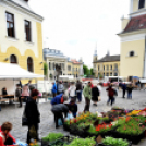 Régi idők piactere - VÁROSNAPOK