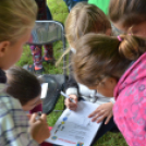 Autómentes Nap Cegléden