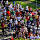 Megyei futó- és gyalogló nap