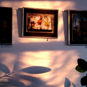 BAÁN KATALIN fotókiállítása(telefonos fotóriport)