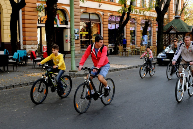 Tájékozódási kerékpártúra - Albertirsai kör (Kisfaludi István)
