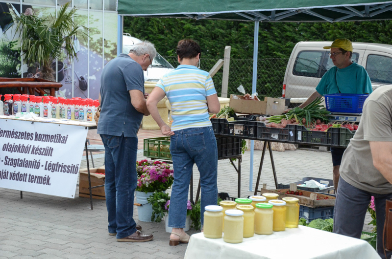 Oázis Kertészeti Áruház