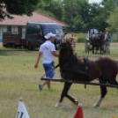 Laska fesztivál - szombat délelőtt
