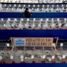 Galambkiállítás Cegléden