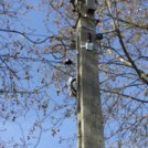 Lovas verseny a Füle Tanyán