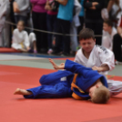 Judo Kupa Cegléden