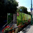 Utazó kiállítás járt Cegléden