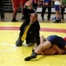 Ceglédi Birkózó OB