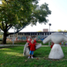 Megyei futó- és gyalogló nap