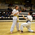 Jótékonysági gála