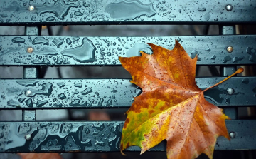 Esővel indult a nap, délután meglepetés jön